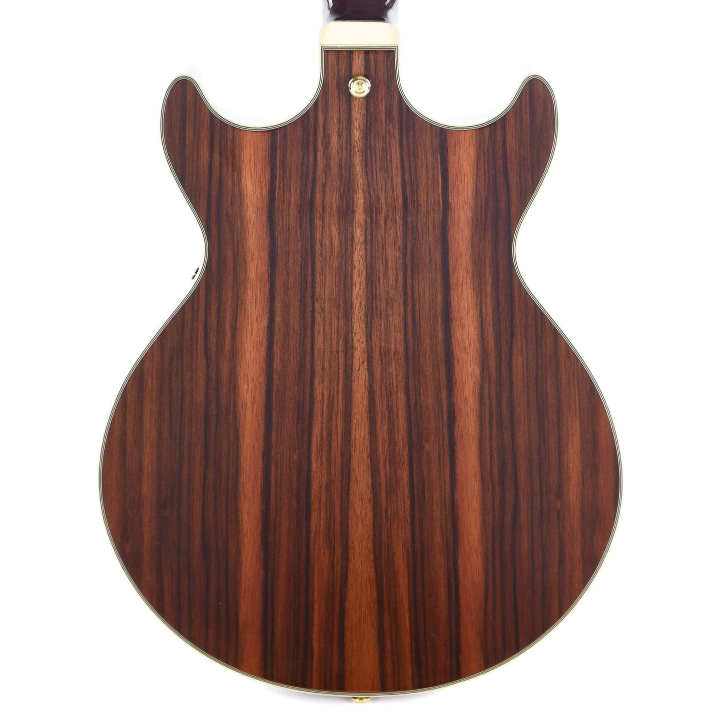 Ibanez AM93ME Artcore Expressionist Macassar Ebony Semi-Hollow Body Electric Guitars / Semi-Hollow