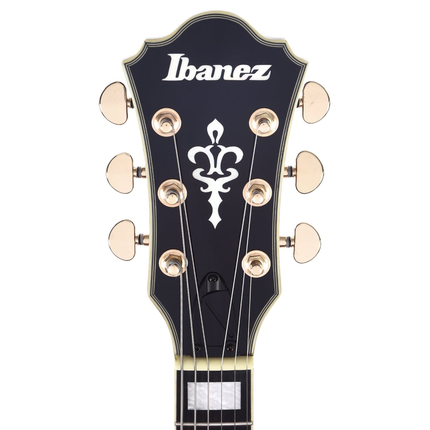 Ibanez AM93ME Artcore Expressionist Macassar Ebony Semi-Hollow Body Electric Guitars / Semi-Hollow