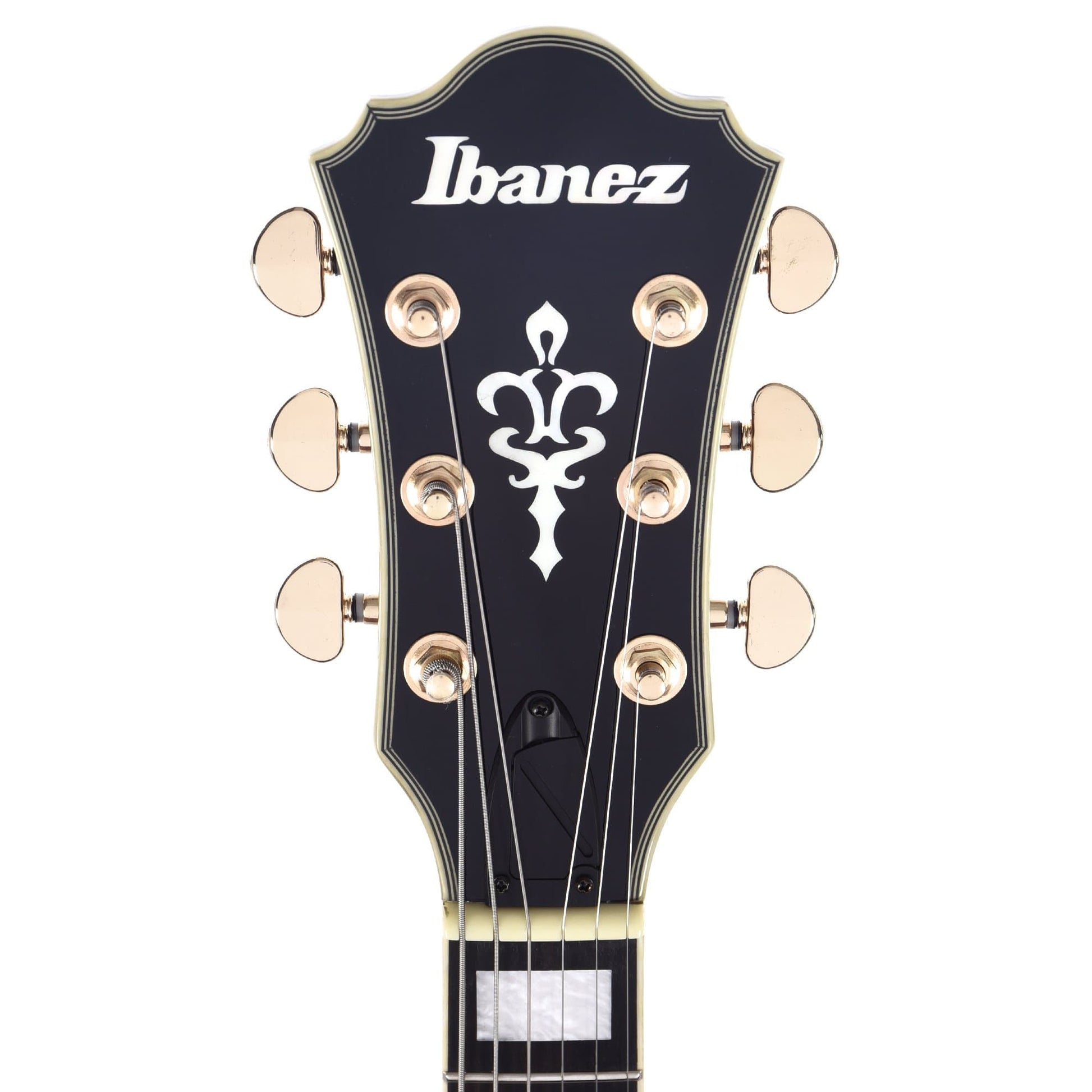 Ibanez AM93ME Artcore Expressionist Macassar Ebony Semi-Hollow Body Electric Guitars / Semi-Hollow