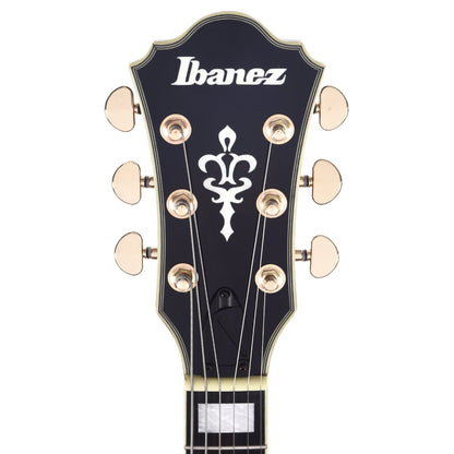 Ibanez AM93ME Artcore Expressionist Macassar Ebony Semi-Hollow Body Electric Guitars / Semi-Hollow