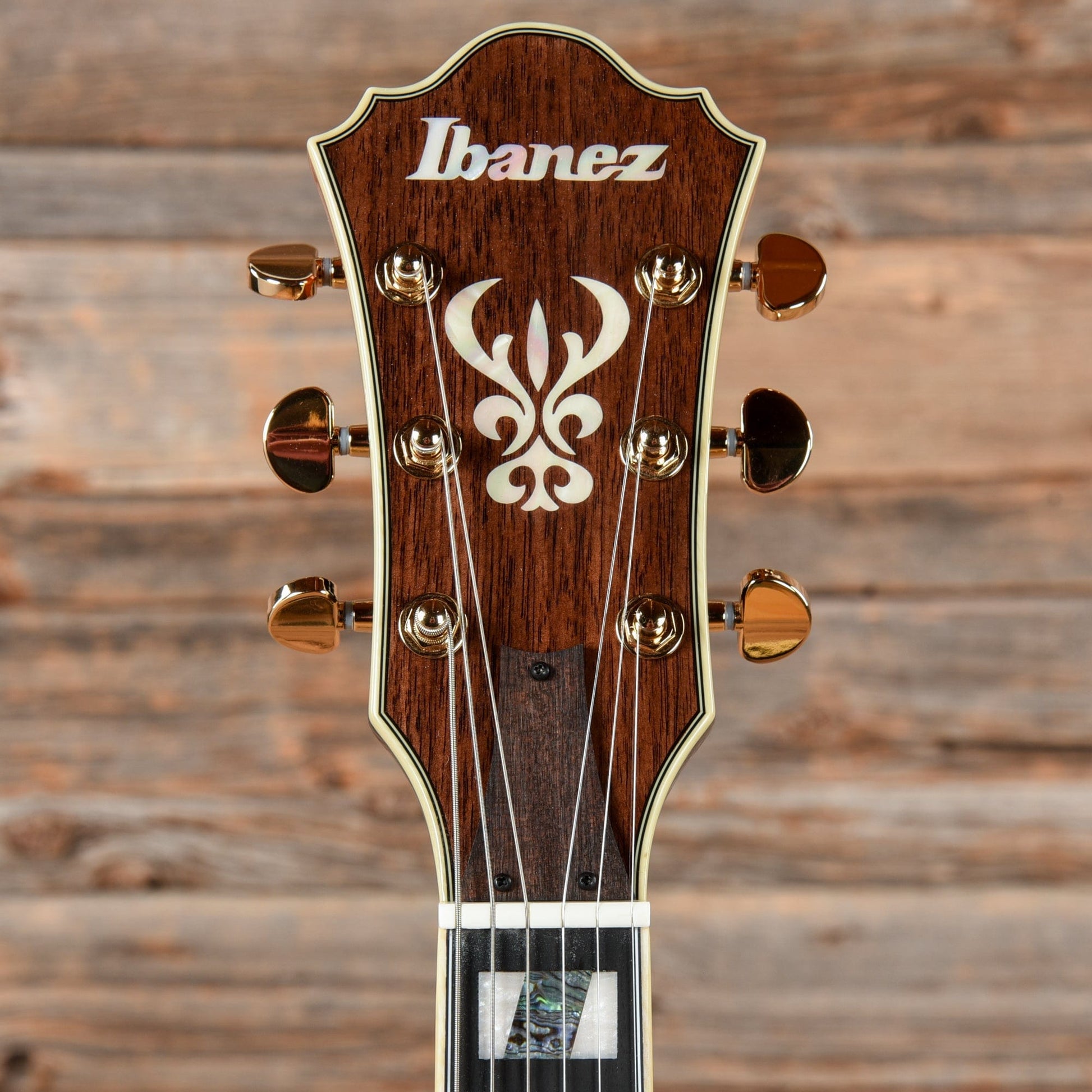 Ibanez AS113 Artist Series Sunburst Electric Guitars / Semi-Hollow