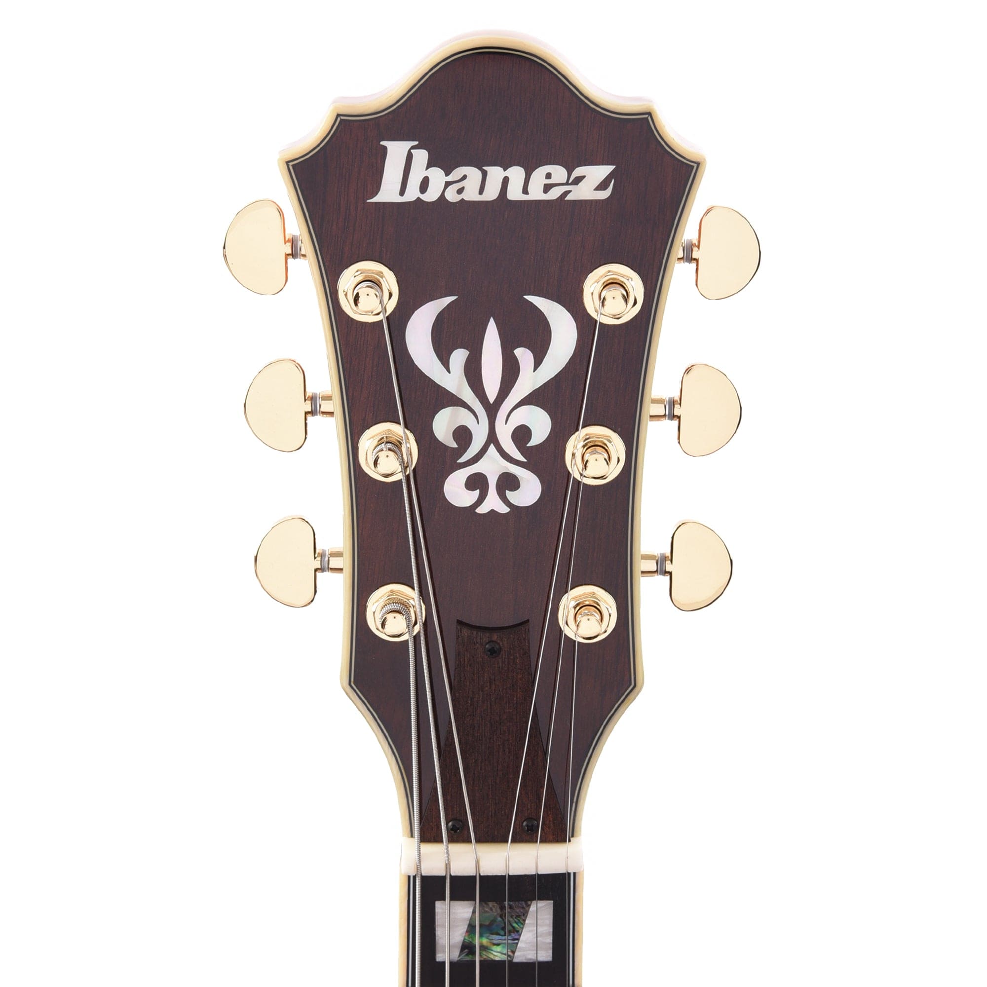 Ibanez AS113 Artst Semi-Hollow Brown Sunburst Electric Guitars / Semi-Hollow