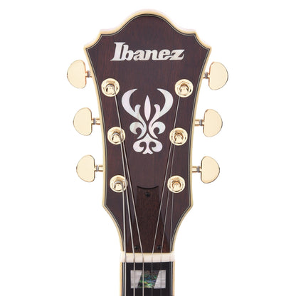 Ibanez AS113 Artst Semi-Hollow Brown Sunburst Electric Guitars / Semi-Hollow