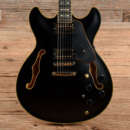 Ibanez JSM20-BKL John Scofield Signature Hollowbody Black Low Gloss 2017 Electric Guitars / Semi-Hollow