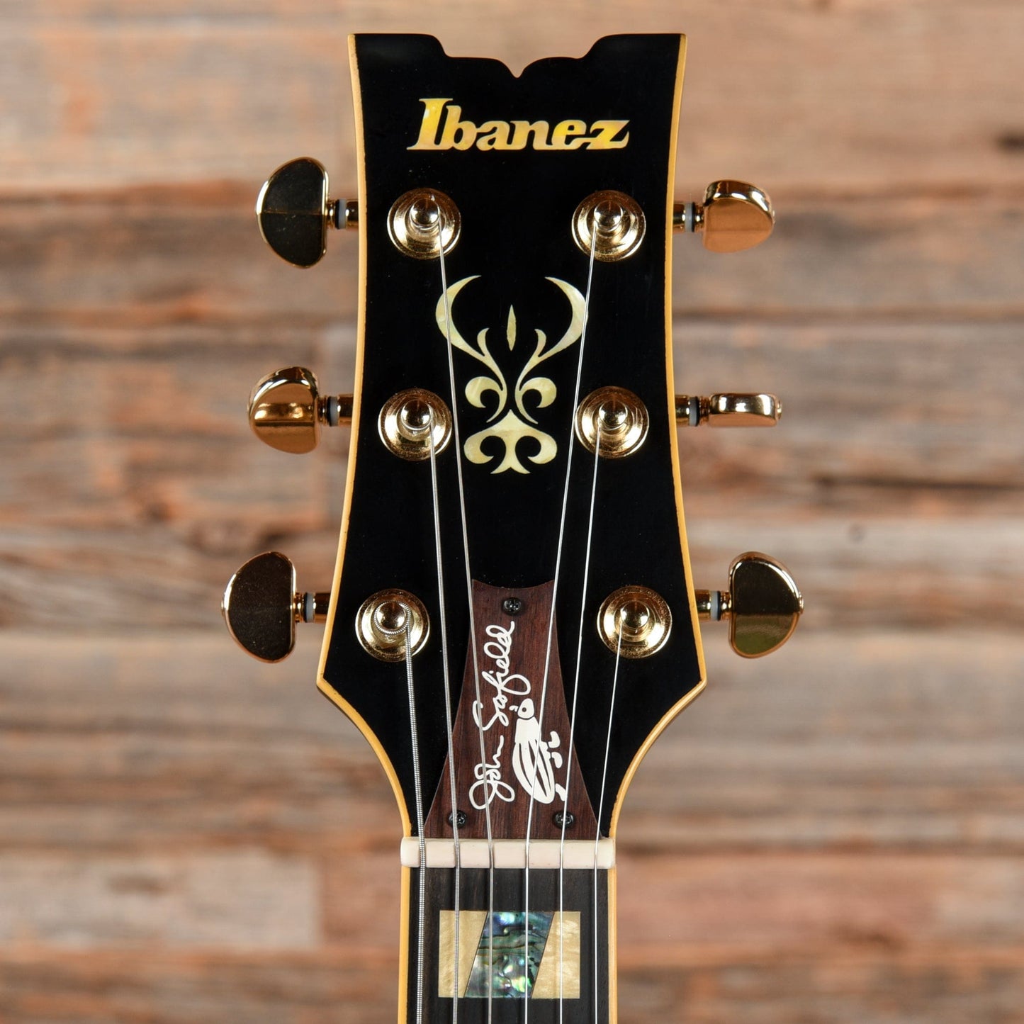 Ibanez JSM20-BKL John Scofield Signature Hollowbody Black Low Gloss 2017 Electric Guitars / Semi-Hollow