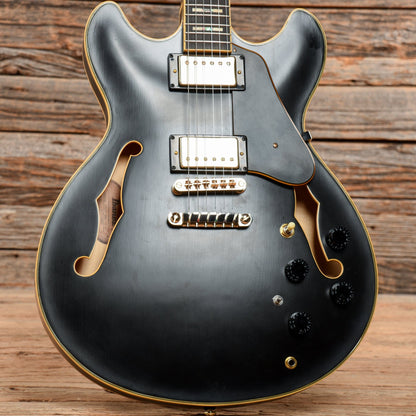 Ibanez JSM20-BKL John Scofield Signature Hollowbody Black Low Gloss 2017 Electric Guitars / Semi-Hollow