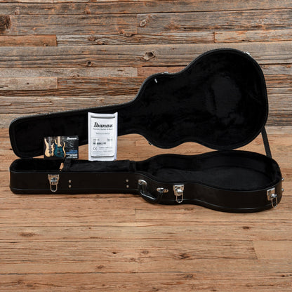 Ibanez JSM20-BKL John Scofield Signature Hollowbody Black Low Gloss 2017 Electric Guitars / Semi-Hollow