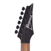 Ibanez RG421EX Black Flat Electric Guitars / Solid Body