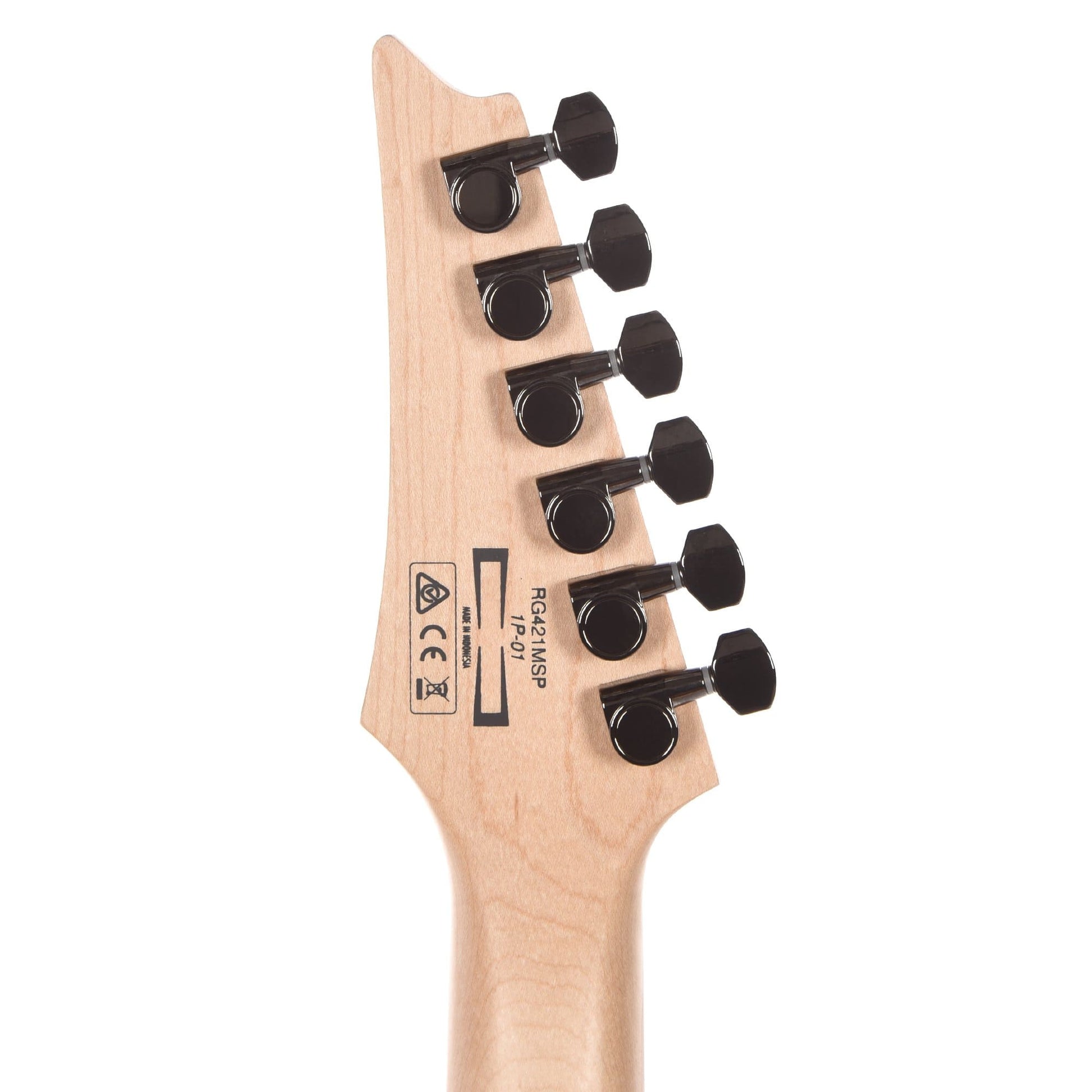 Ibanez RG421MSP Standard Turquoise Sparkle Electric Guitars / Solid Body