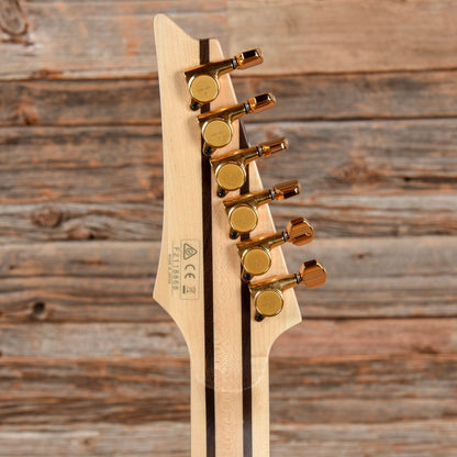 Ibanez RG5170B Prestige Black 2021 Electric Guitars / Solid Body