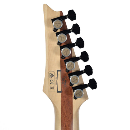 Ibanez RGAIX6U Iron Label Antique Brown Stained w/Ibanez Molded Hardshell Case Electric Guitars / Solid Body