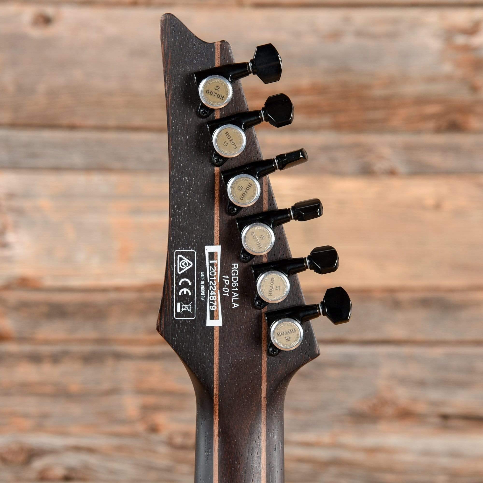 Ibanez RGD61ALA Axion Label Midnight Tropical Rainforest – Chicago