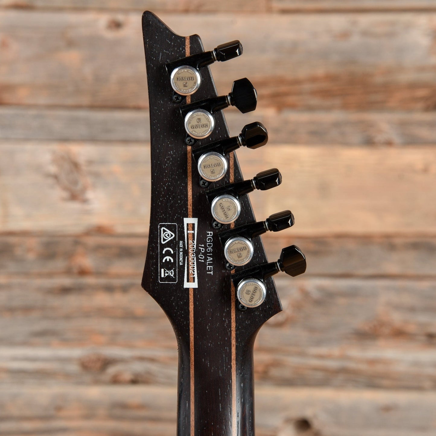 Ibanez RGD61ALET-MGM Axion Label Metallic Gray Matte Electric Guitars / Solid Body