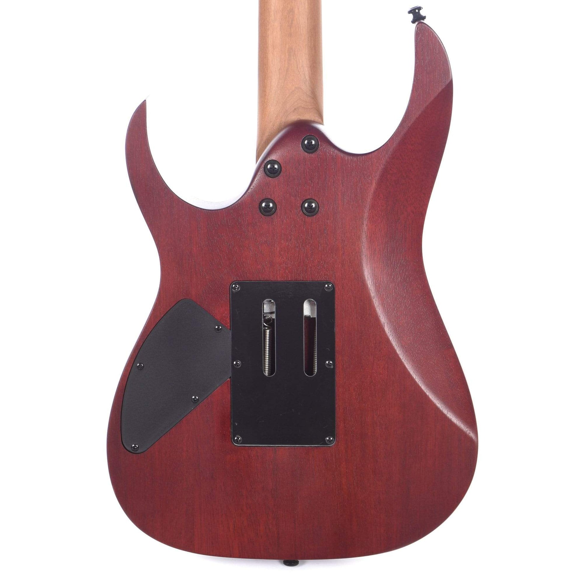 Ibanez RGEW520MCW RGEW Figured Walnut Natural Flat Electric Guitars / Solid Body