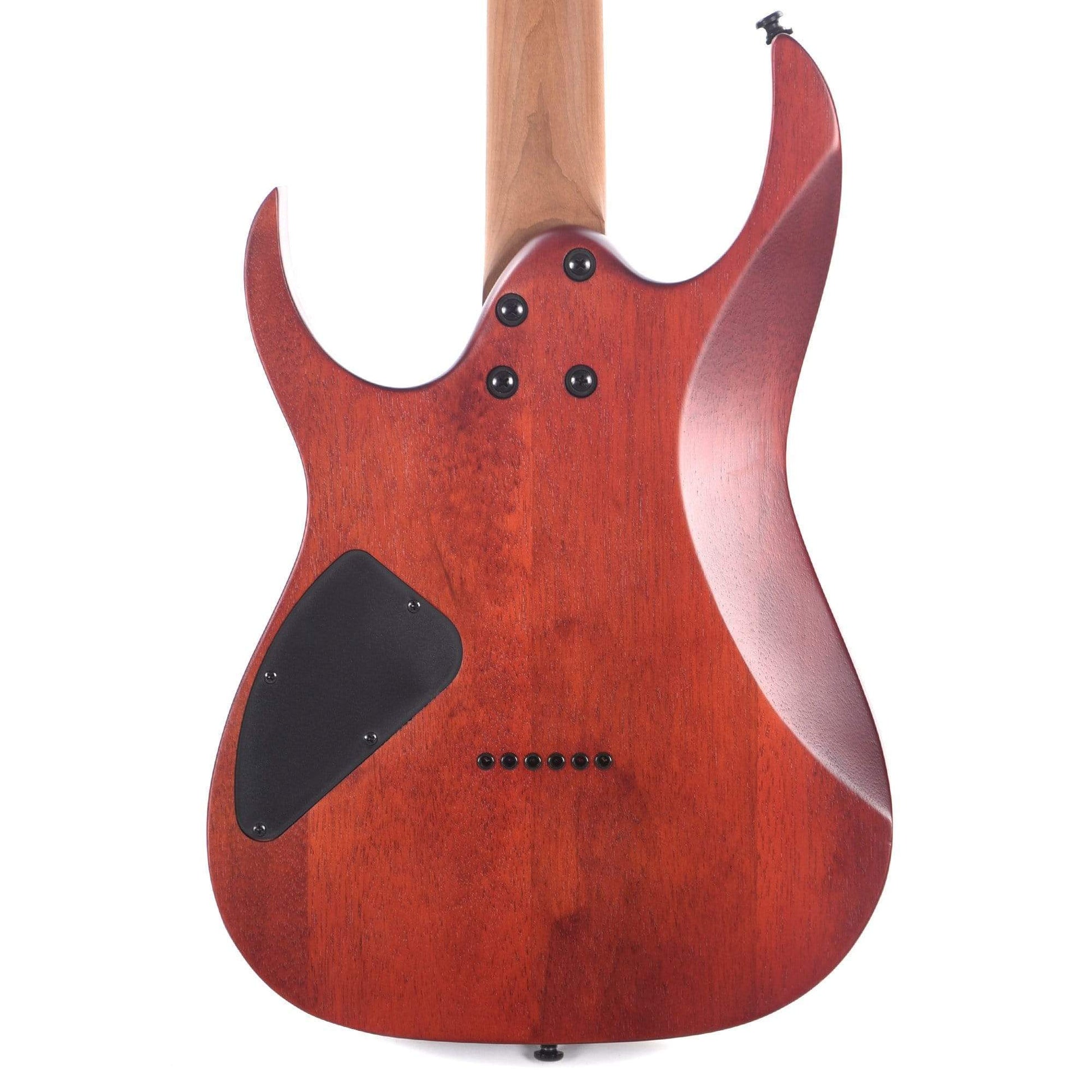 Ibanez RGEW521MZW RGEW Zebra Wood Natural Flat Electric Guitars / Solid Body