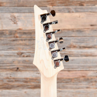 Ibanez SA260FM Violin Sunburst 2019 Electric Guitars / Solid Body