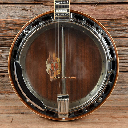 Ibanez Artist Banjo  1977 Folk Instruments / Banjos