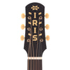 Iris DF Sitka/Mahogany Black Satin Acoustic Guitars / Dreadnought