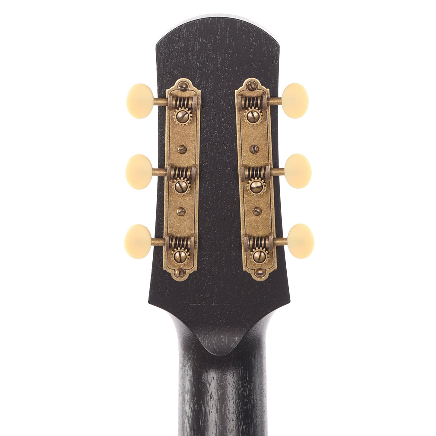 Iris DF Sitka/Mahogany Black Satin Acoustic Guitars / Dreadnought