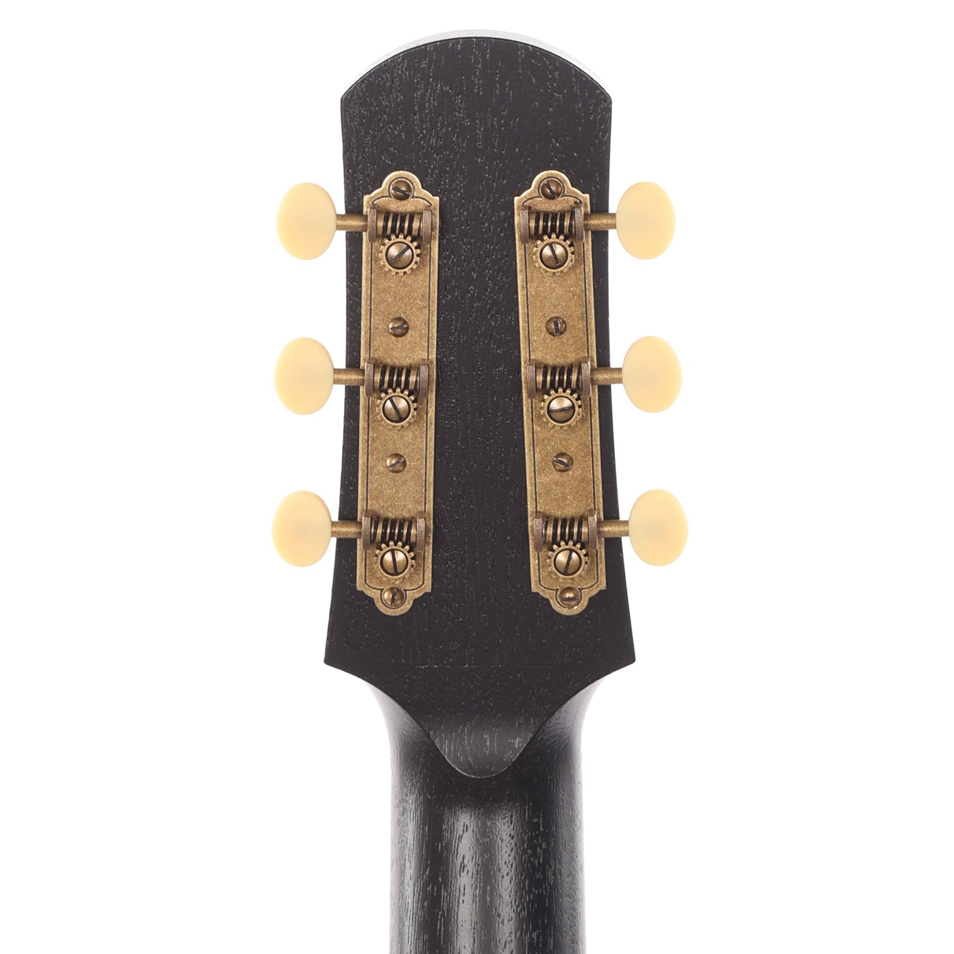 Iris DF Sitka/Mahogany Black Satin Acoustic Guitars / Dreadnought