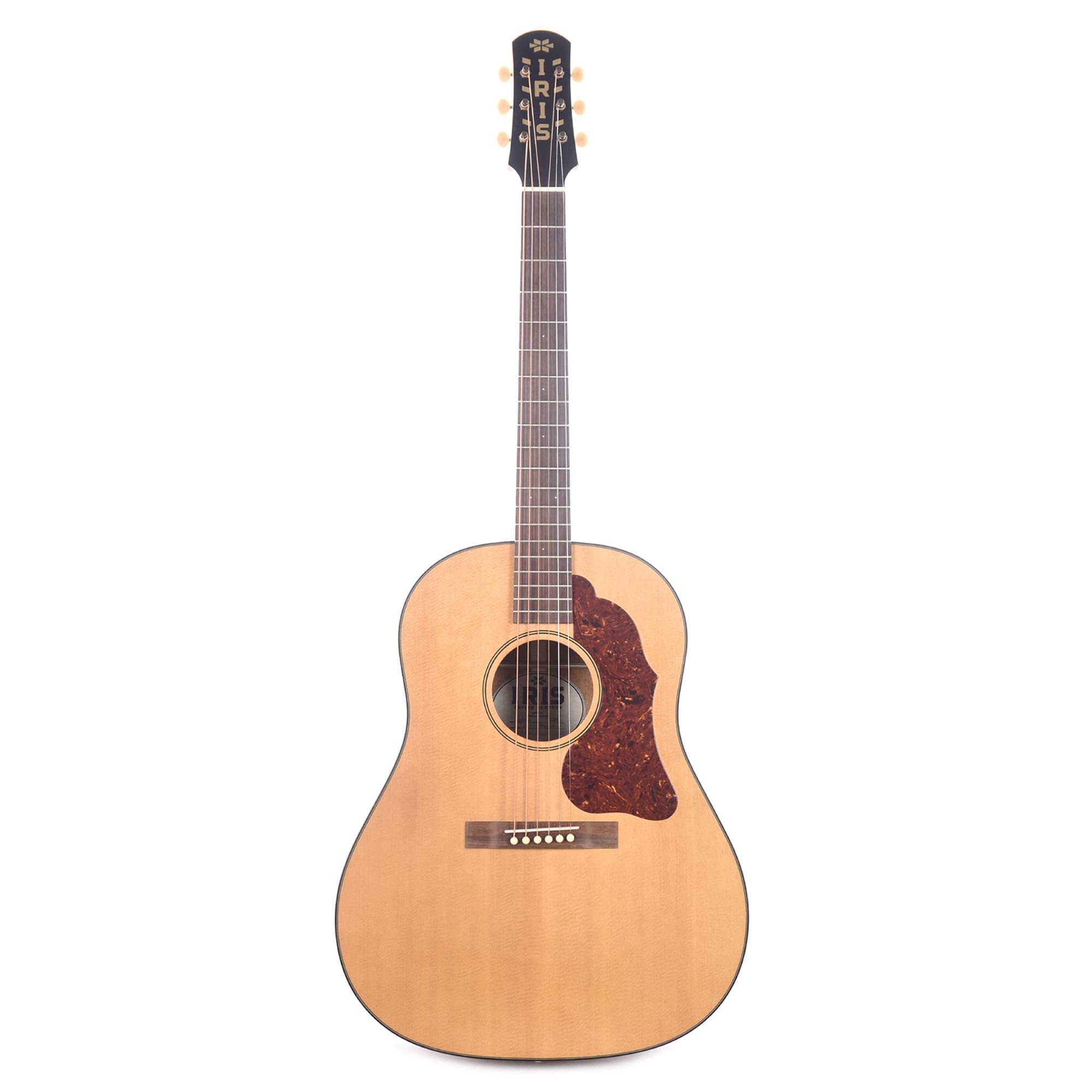 Iris DF Sitka/Mahogany Natural Satin Acoustic Guitars / Dreadnought