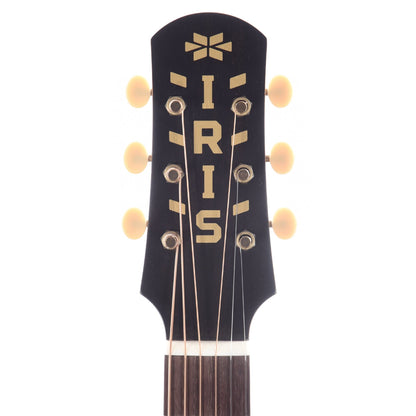 Iris DF Sitka/Mahogany Natural Satin Acoustic Guitars / Dreadnought