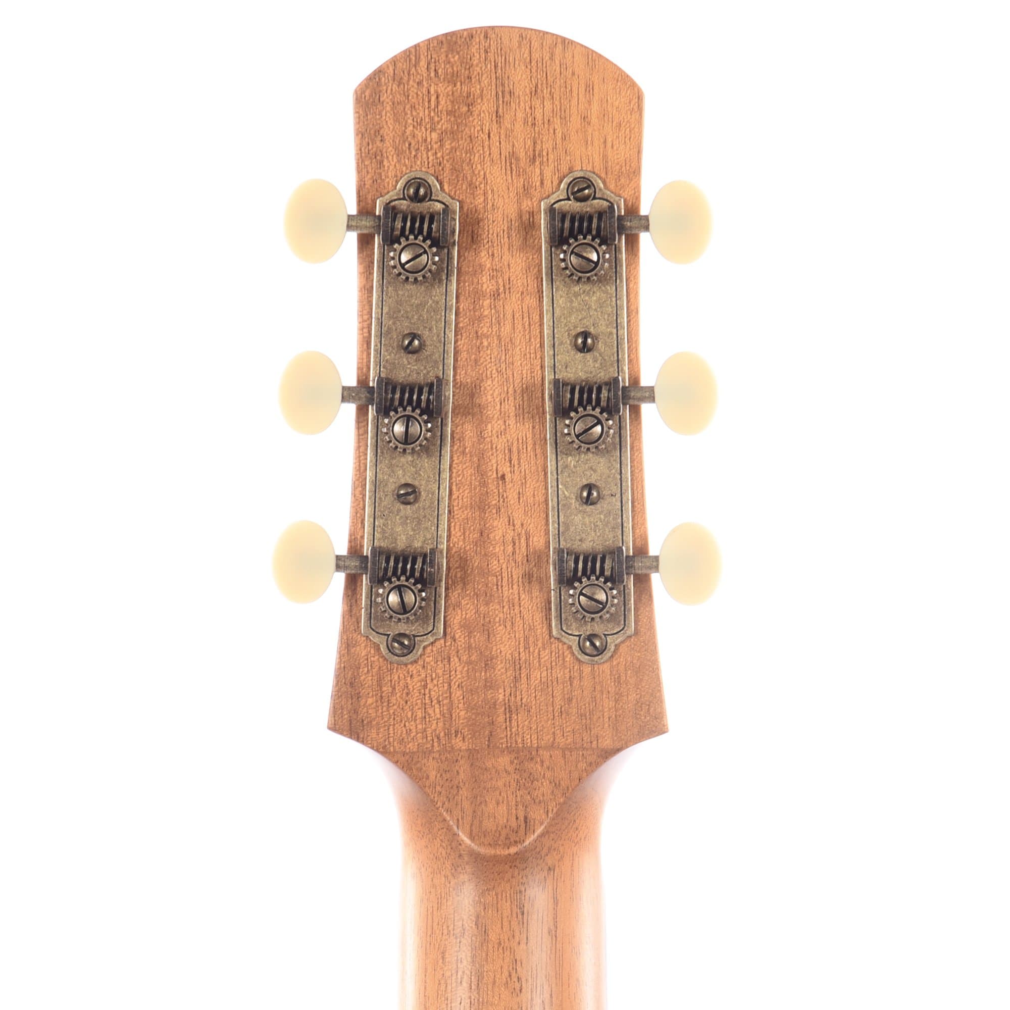 Iris DF Sitka/Mahogany Natural Satin Acoustic Guitars / Dreadnought