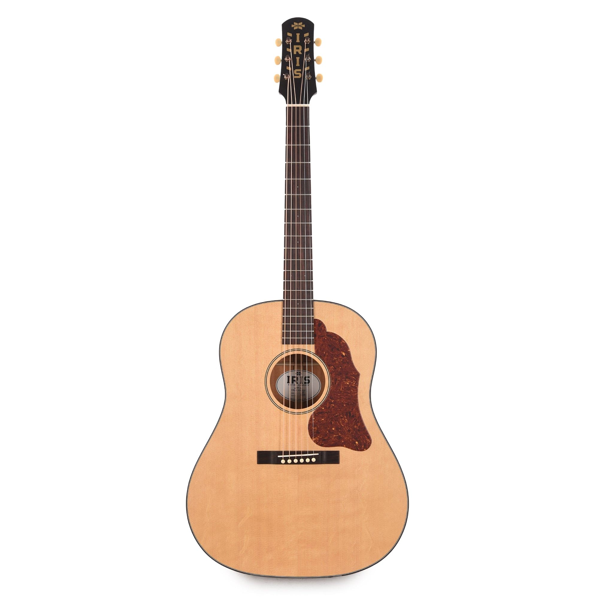 Iris DF Sitka/Mahogany Natural Satin Acoustic Guitars / Dreadnought