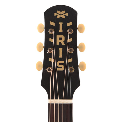 Iris DF Sitka/Mahogany Natural Satin Acoustic Guitars / Dreadnought