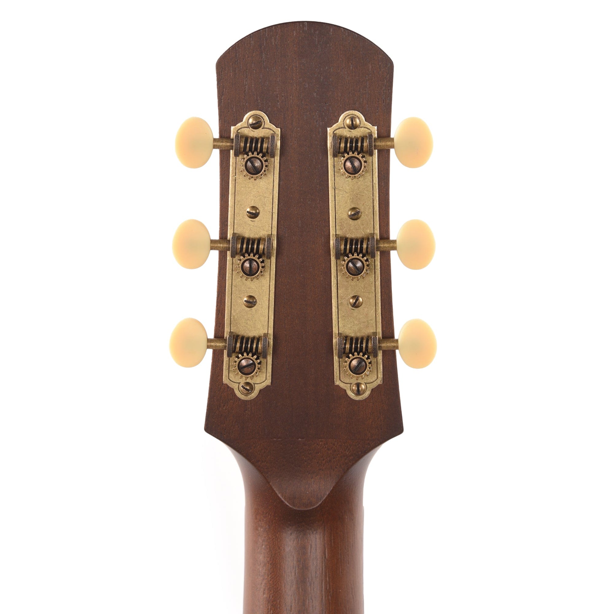 Iris DF Sitka/Mahogany Natural Satin Acoustic Guitars / Dreadnought