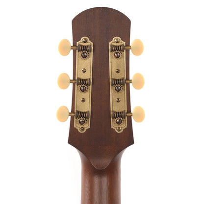 Iris DF Sitka/Mahogany Natural Satin Acoustic Guitars / Dreadnought