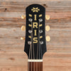 Iris DF Sunburst 2020 Acoustic Guitars / Dreadnought