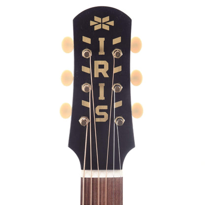 Iris AB Spruce/Maple Natural Satin Acoustic Guitars / Jumbo