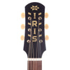 Iris AB Spruce/Maple Natural Satin Acoustic Guitars / Jumbo