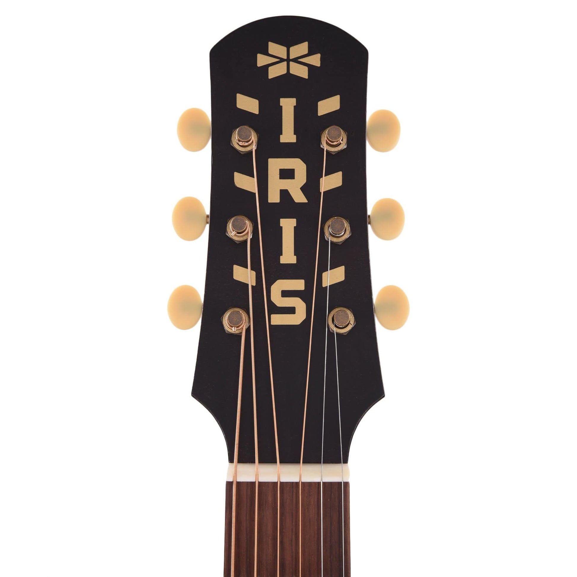 Iris Limited Edition ND-200 Jumbo Black Hand Painted by Sarah Ryan Acoustic Guitars / Jumbo