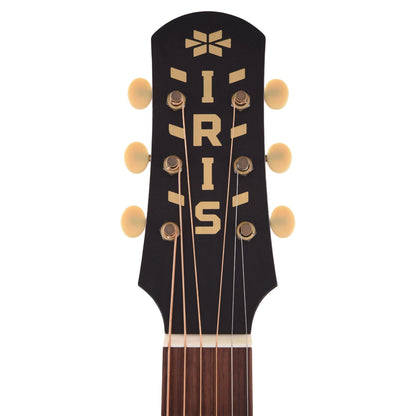 Iris Limited Edition ND-200 Jumbo Black Hand Painted by Sarah Ryan Acoustic Guitars / Jumbo