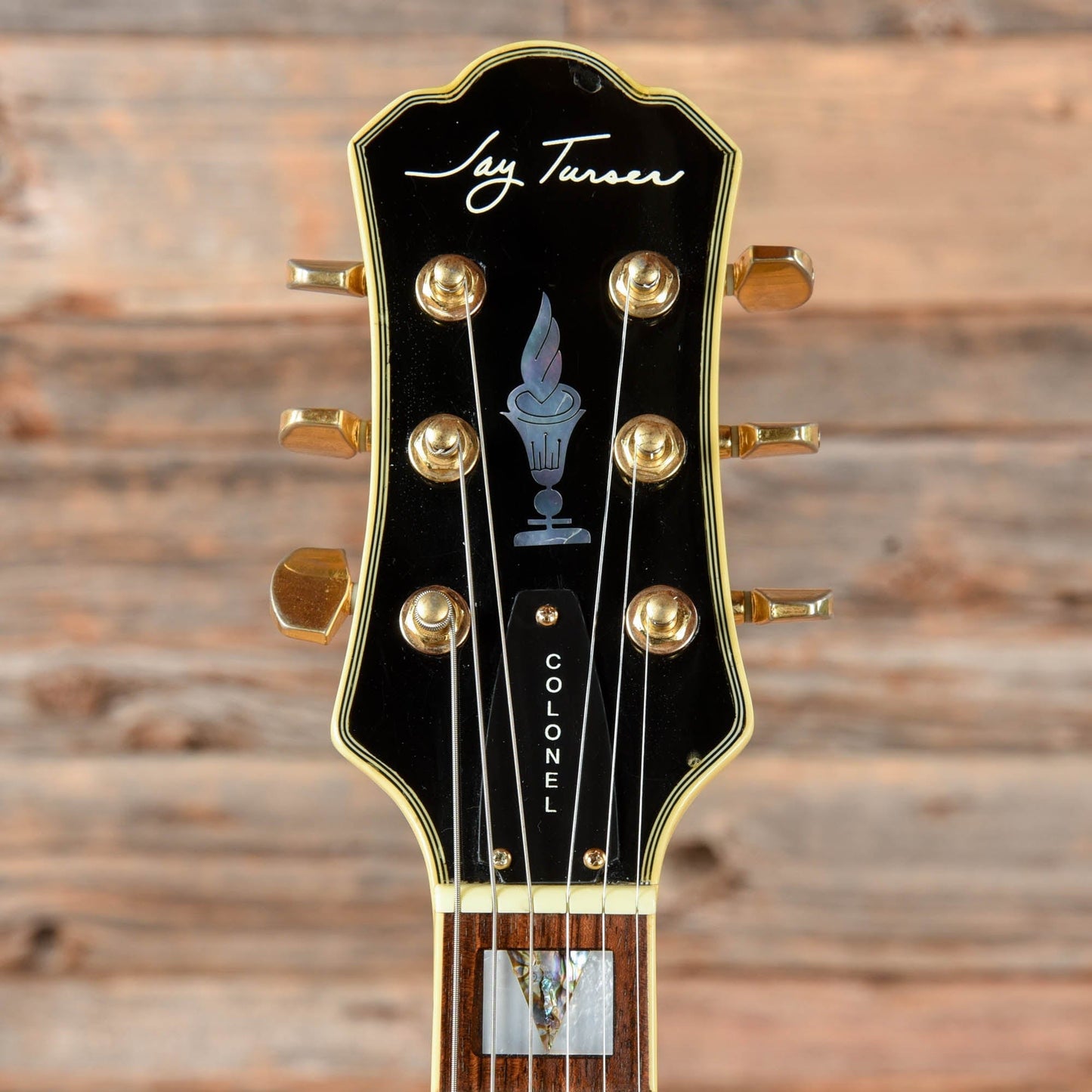 Jay Turser Colonel Hollowbody White Electric Guitars / Hollow Body