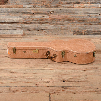 Jay Turser Colonel Hollowbody White Electric Guitars / Hollow Body