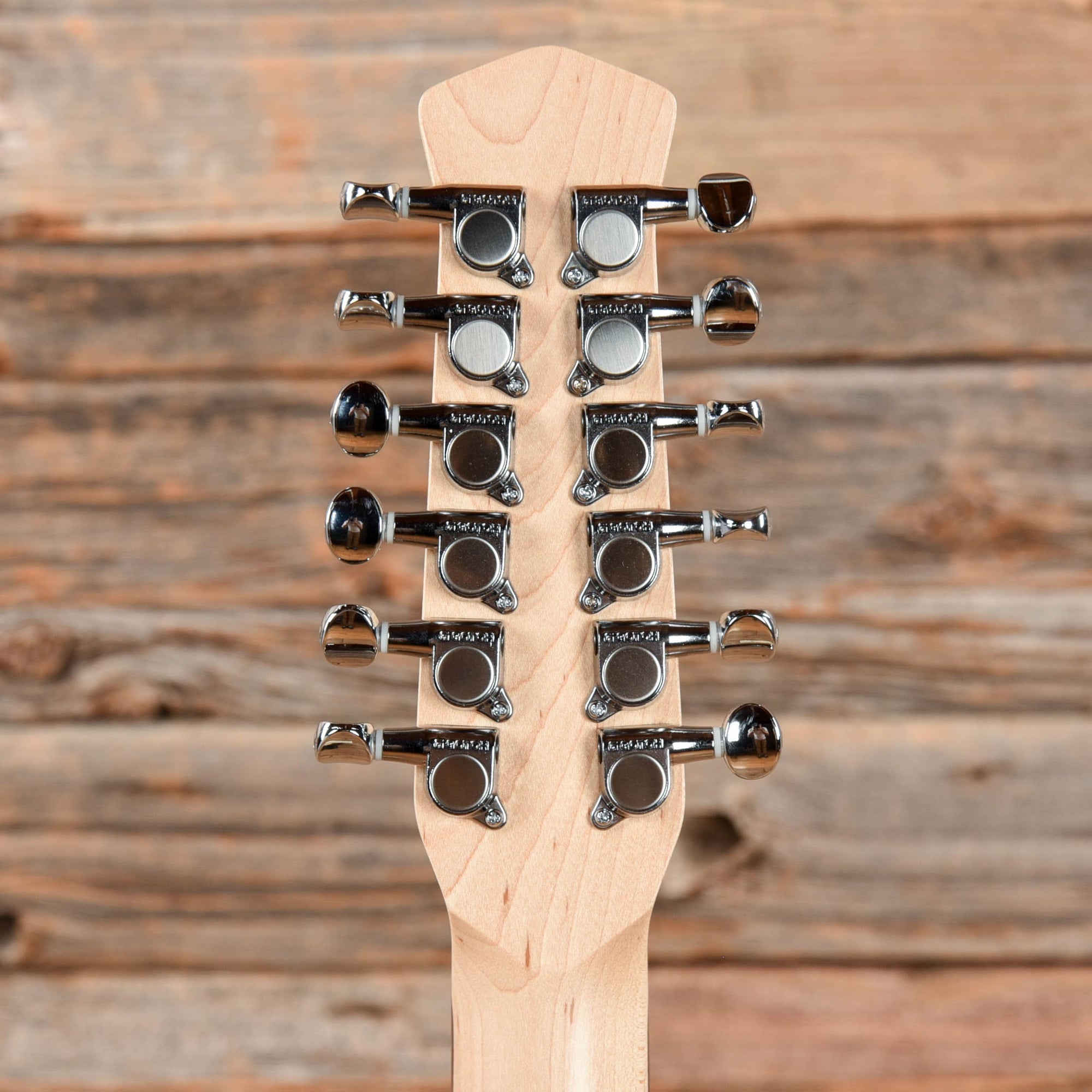 Jerry Jones Neptune 12 String Seaburst – Chicago Music Exchange