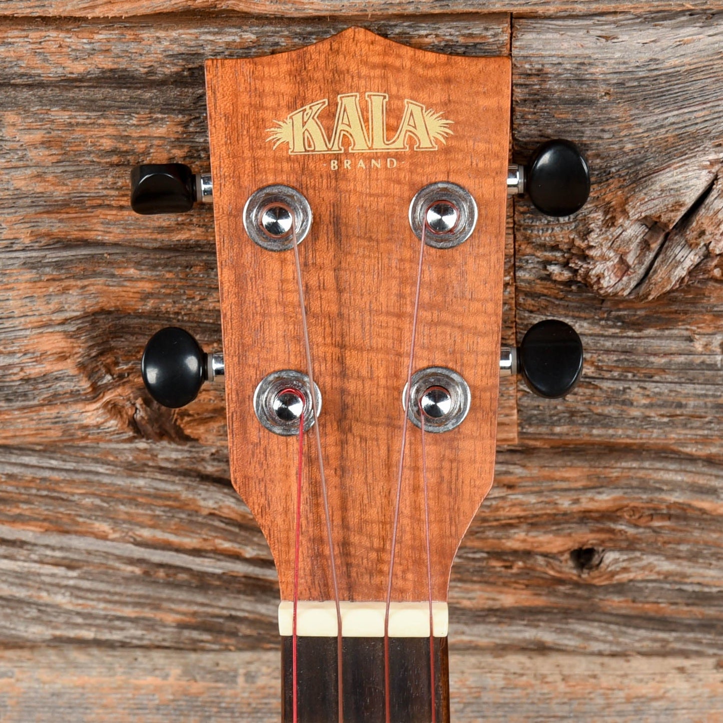 Kala Concert Ukulele Natural Folk Instruments / Ukuleles