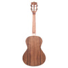 Kala KA-SA-T Tenor Ukulele Satin All Solid Acacia Folk Instruments / Ukuleles