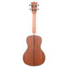 Kala KA-SCG Concert Ukulele Gloss Solid Spruce/Mahogany Folk Instruments / Ukuleles