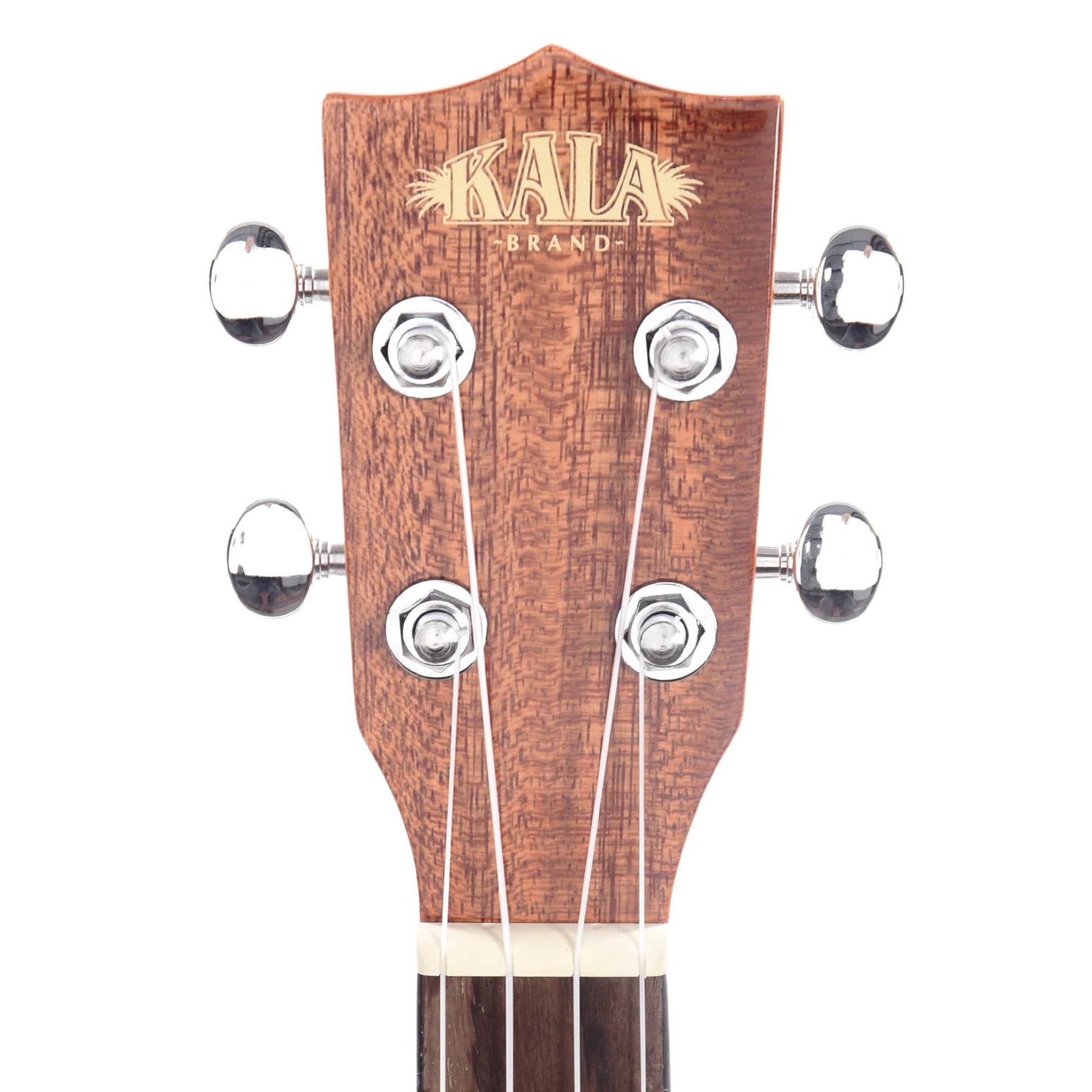 Kala KA-SCG Concert Ukulele Gloss Solid Spruce/Mahogany Folk Instruments / Ukuleles