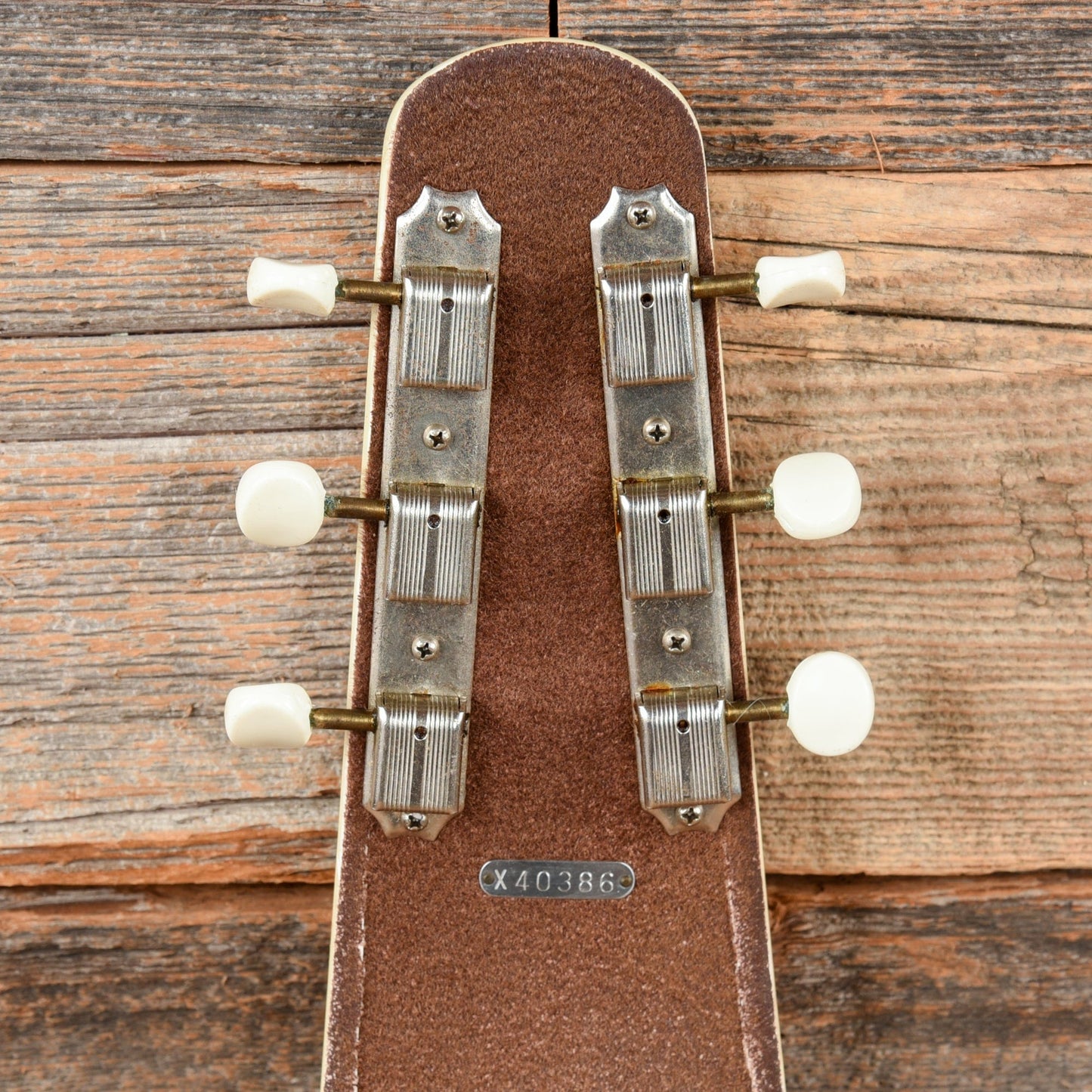 Kalina Lap Steel and Combo Amplier Set  1963 Amps / Guitar Cabinets