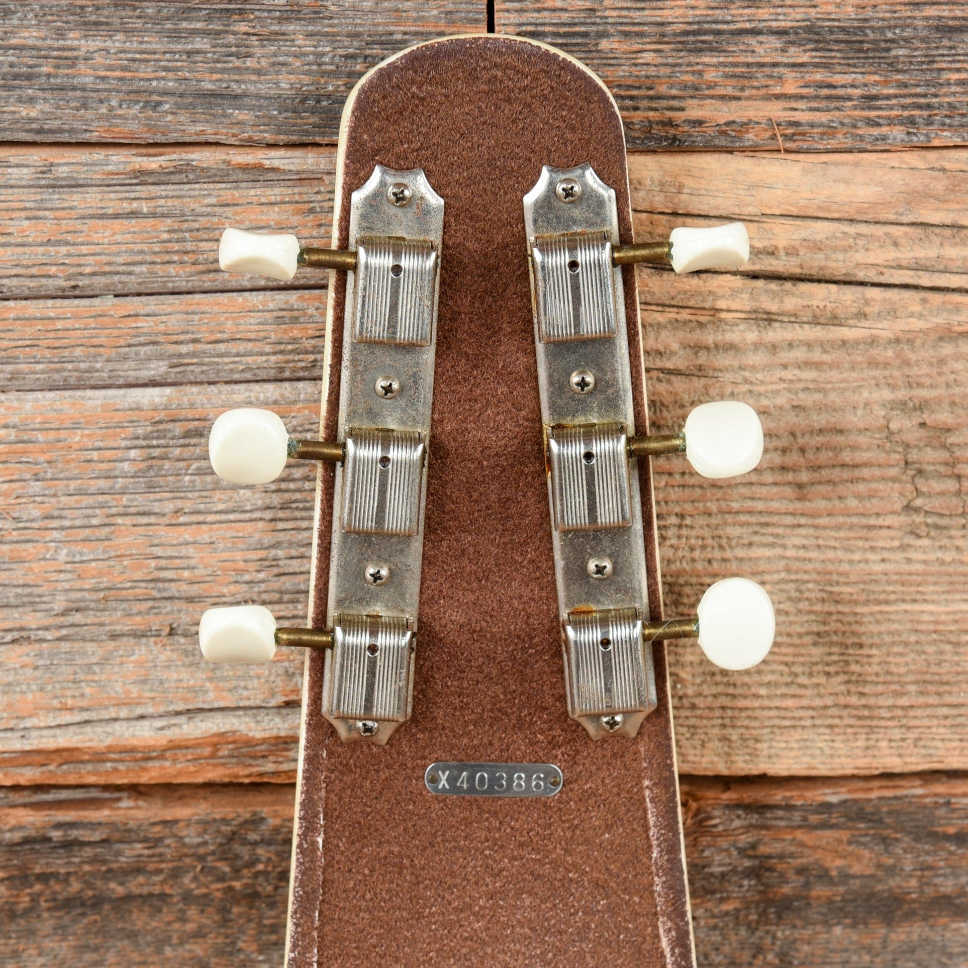 Kalina Lap Steel and Combo Amplier Set  1963 Amps / Guitar Cabinets