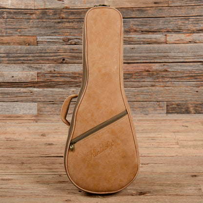 Kentucky KM855 Artist F-Model Mandolin Cherry Burst Folk Instruments / Mandolins