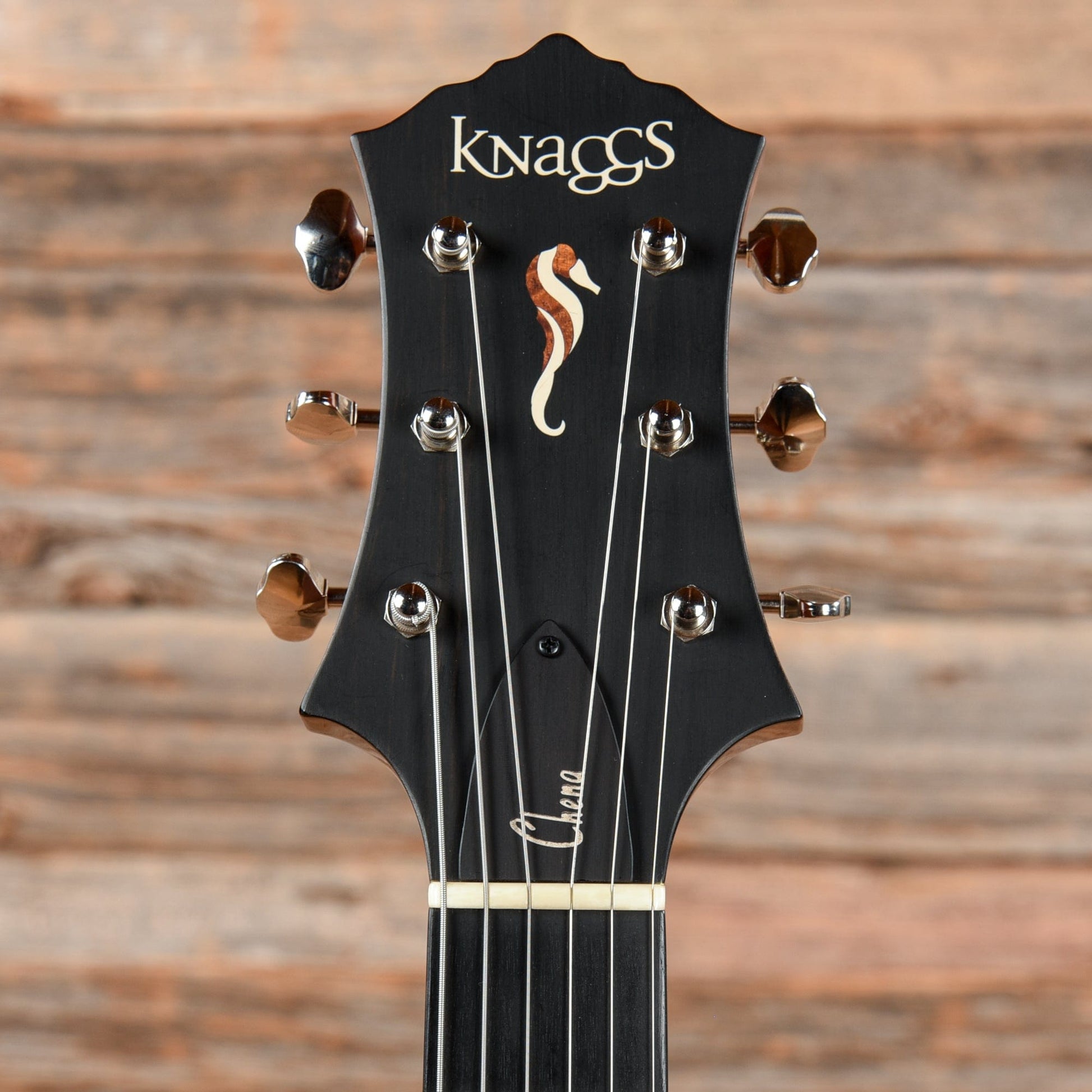 Knaggs Chena Tier 2 Winter Solstice 2012 Electric Guitars / Semi-Hollow