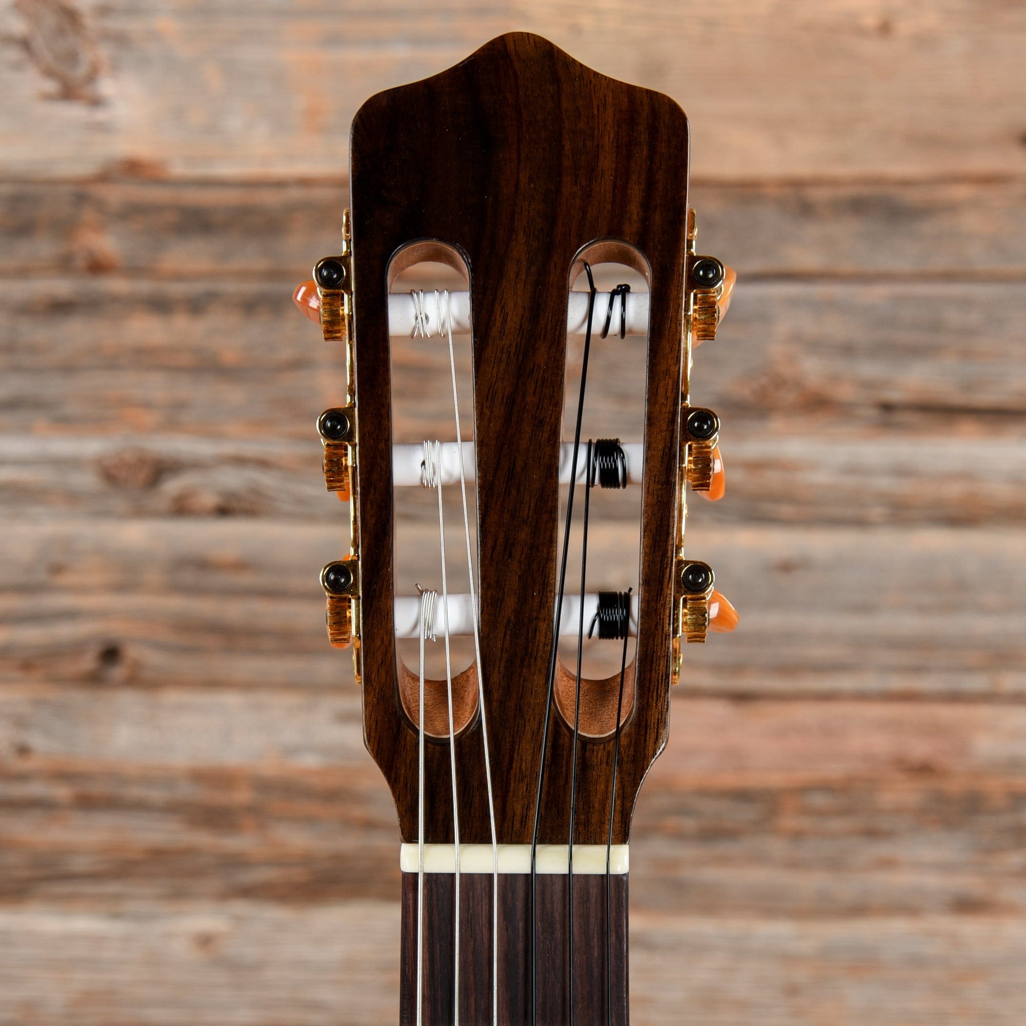 Kremona Rosa Luna RL lux Natural Acoustic Guitars / Classical