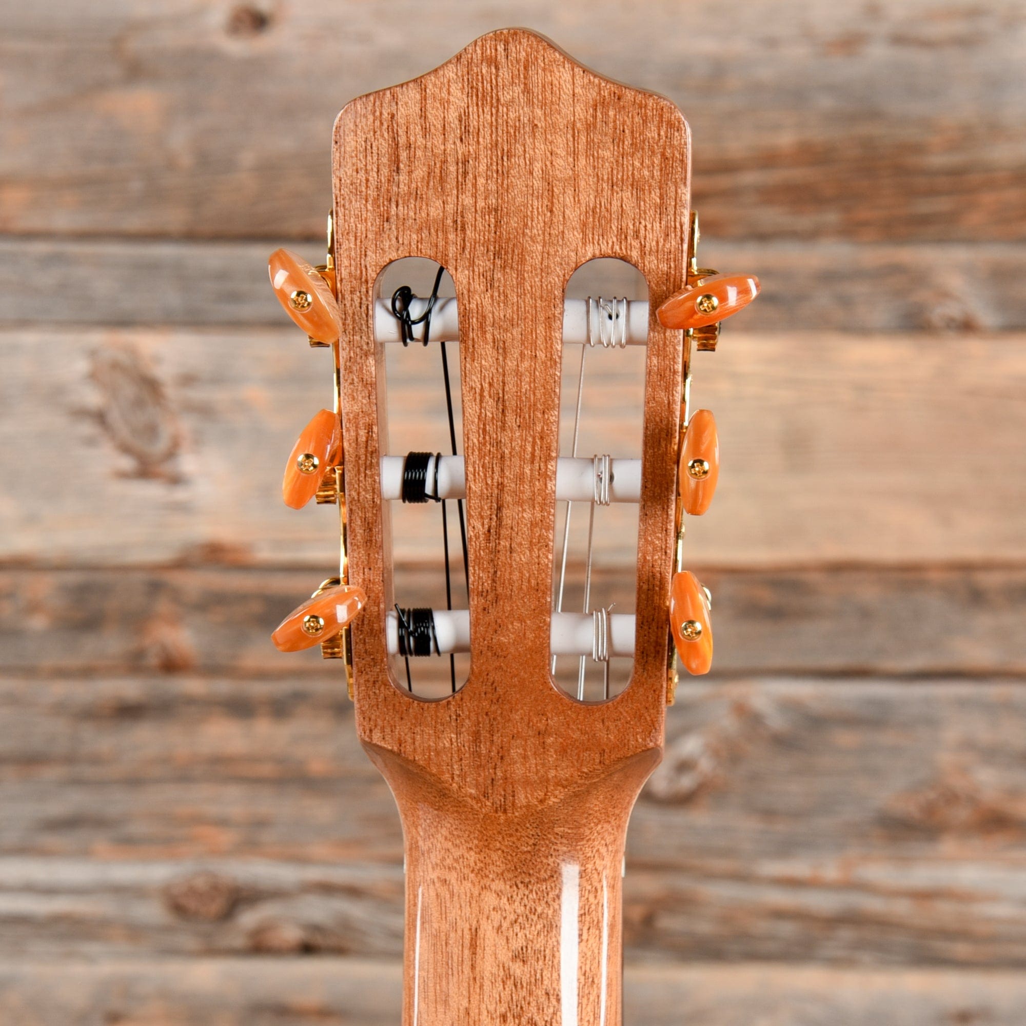 Kremona Rosa Luna RL lux Natural Acoustic Guitars / Classical