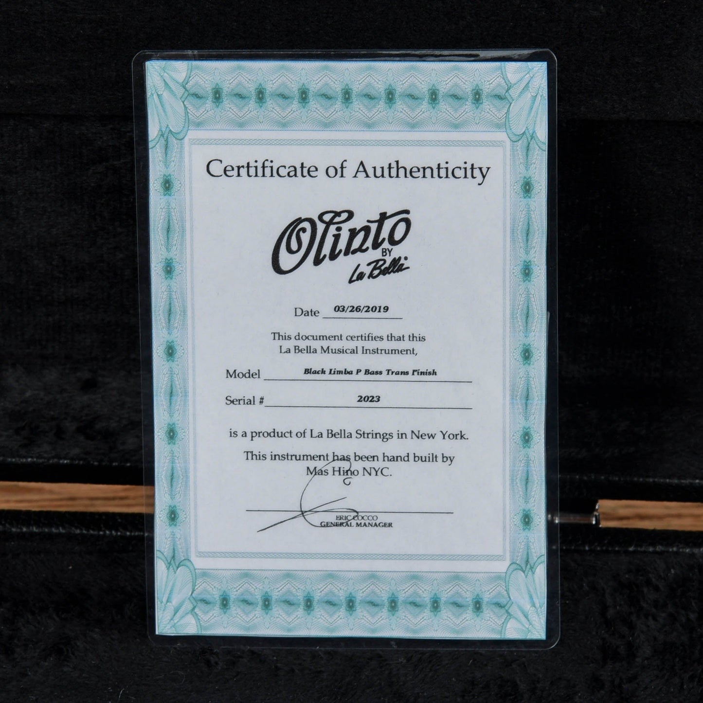 La Bella Olinto Black Limba Bass Transparent Matte w/Gold Anodized Pickguard Bass Guitars / 4-String